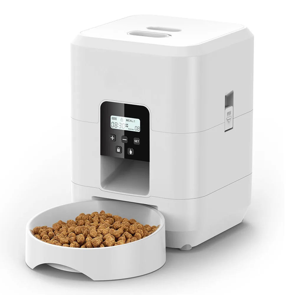 Stress-Free Feeding for Your Beloved Pet